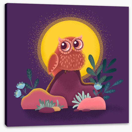 Owls