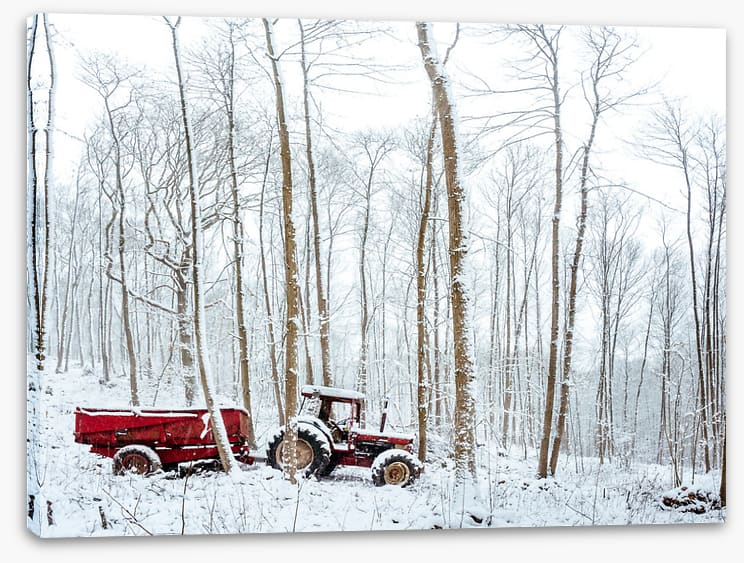 Winter