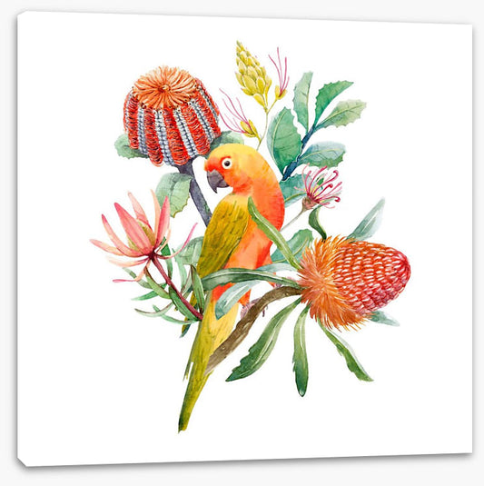 King parrot perch