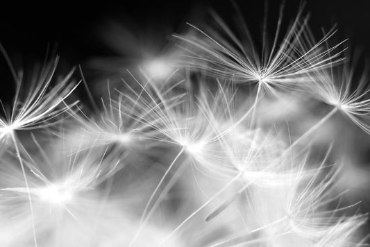 Blowballs