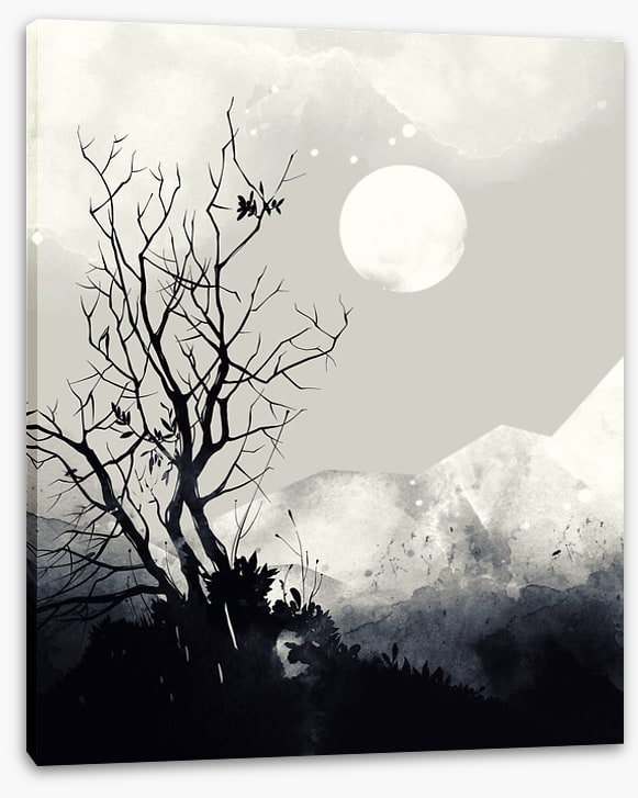 Light of the moon