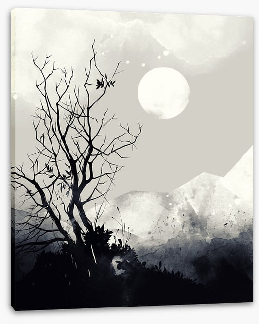 Light of the moon