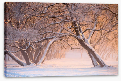 Leaning into winter