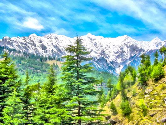 Mountainside pine