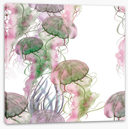 Jellyfish blush