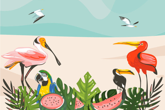 Beach House