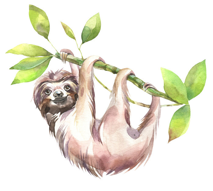 Smiling sloth