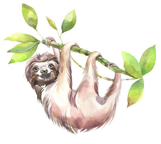 Smiling sloth