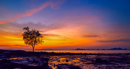 Sunsets / Rises