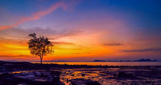 Sunsets / Rises