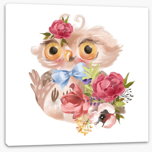 Flower owl fall 1