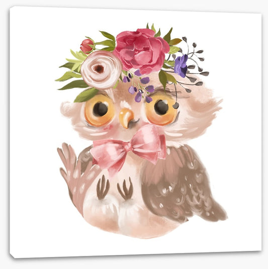 Flower owl fall 2