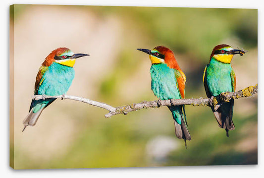 Three on the tree