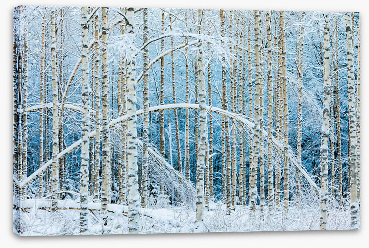 Arctic arches