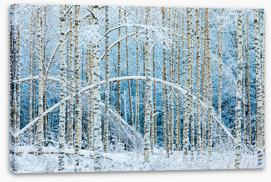 Arctic arches