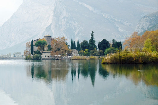 Top of the lake
