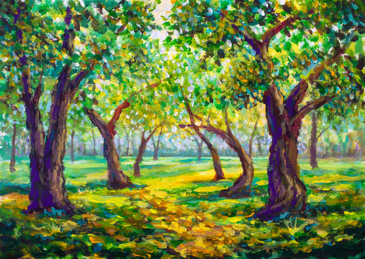 Through the sunny forest
