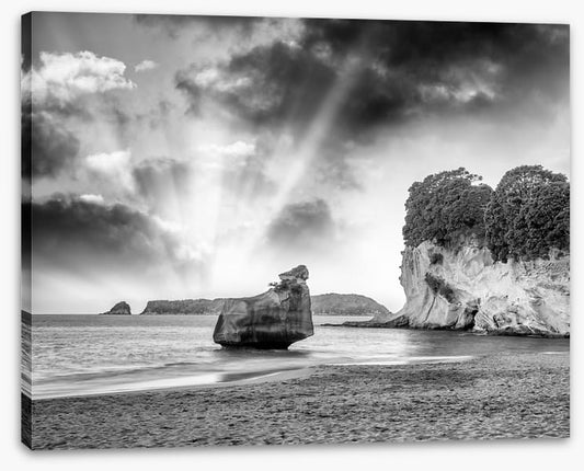 The Coromandel cove