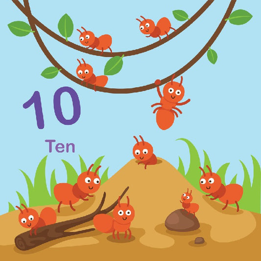 Alphabet and Numbers