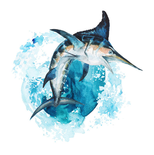 Swordfish splash