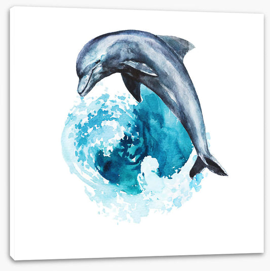 Dolphin wave