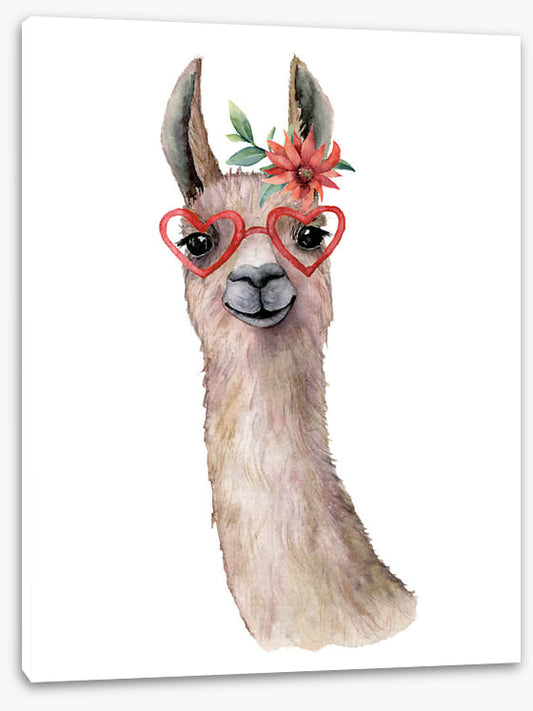 Llama love