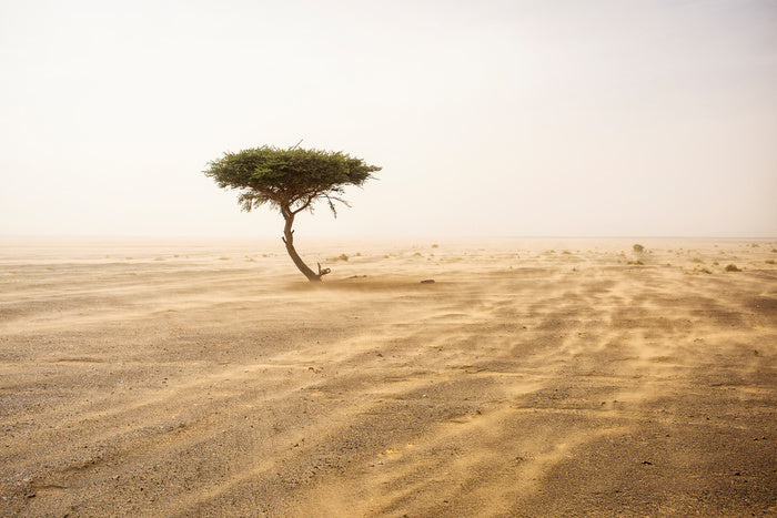 Africa