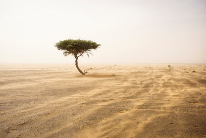 Africa