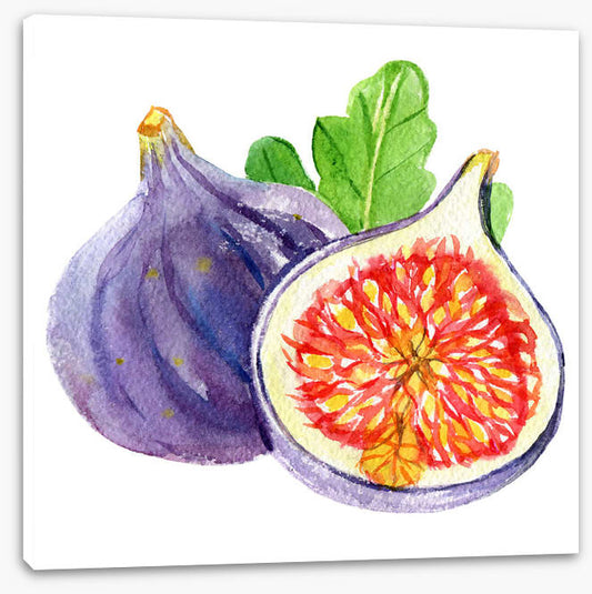 Fig and a half