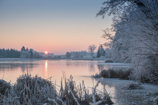 Pastel morning