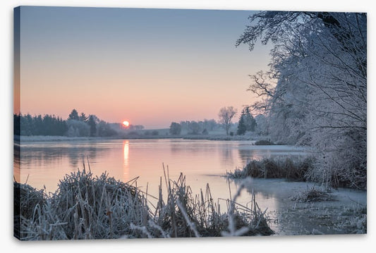Pastel morning
