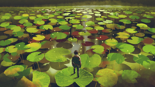 Lily pad labyrinth