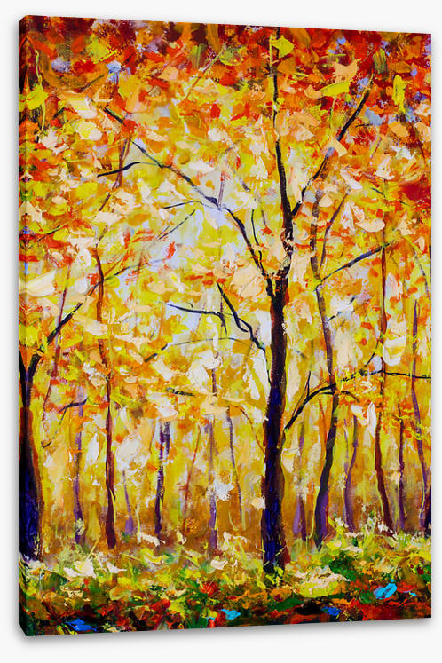 The Sunshine Path | Stretched Canvas – Wall Art Prints