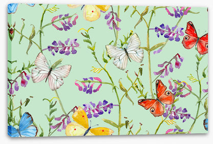 Butterflies