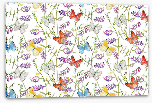 Butterflies