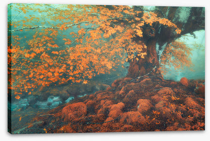 Fantasy in fall