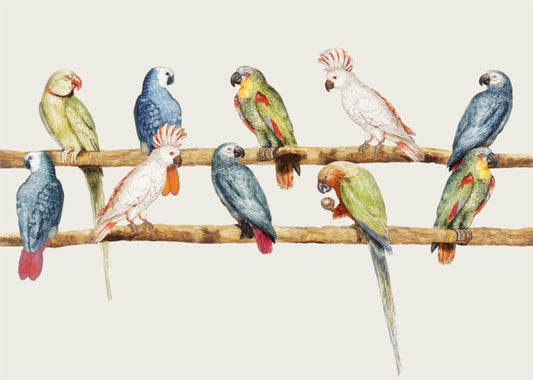 The parrot perch