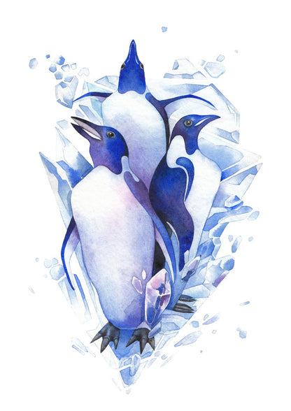 Birds