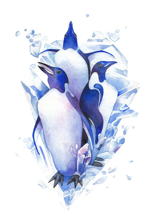 Birds