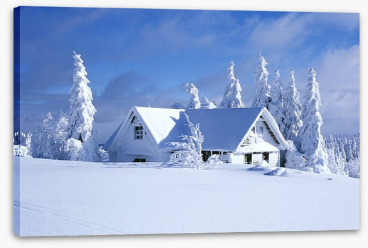 Snowed in