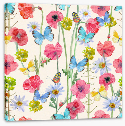 Butterflies