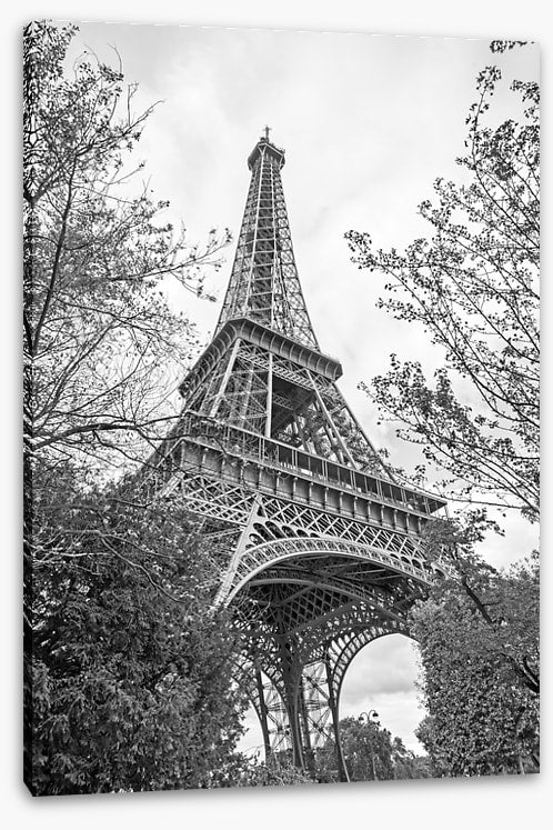 Eiffel Tower trees