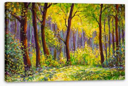 Sunshine in the glade