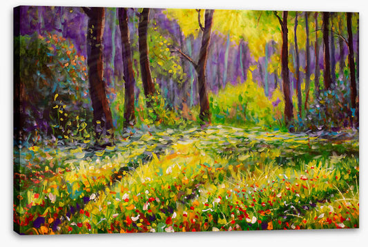 Grass in the glade