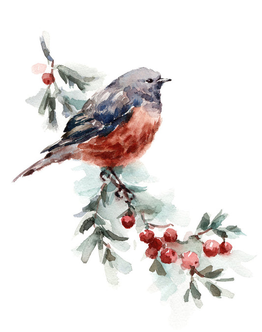 Birds