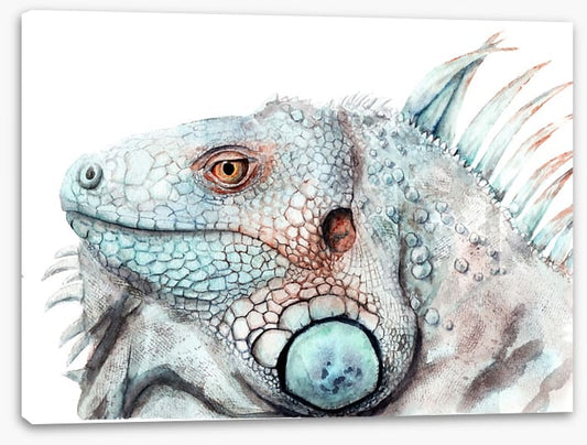 The lizard look