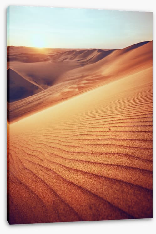 Desert
