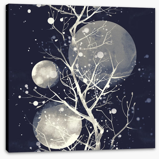 Three moons