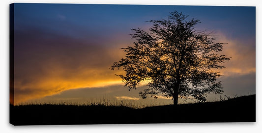 Trees