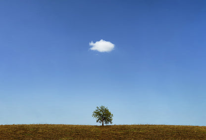 Below the cloud
